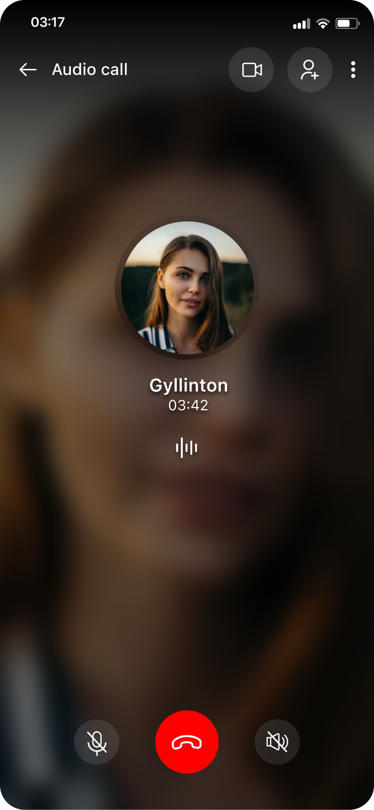 Voice Call
